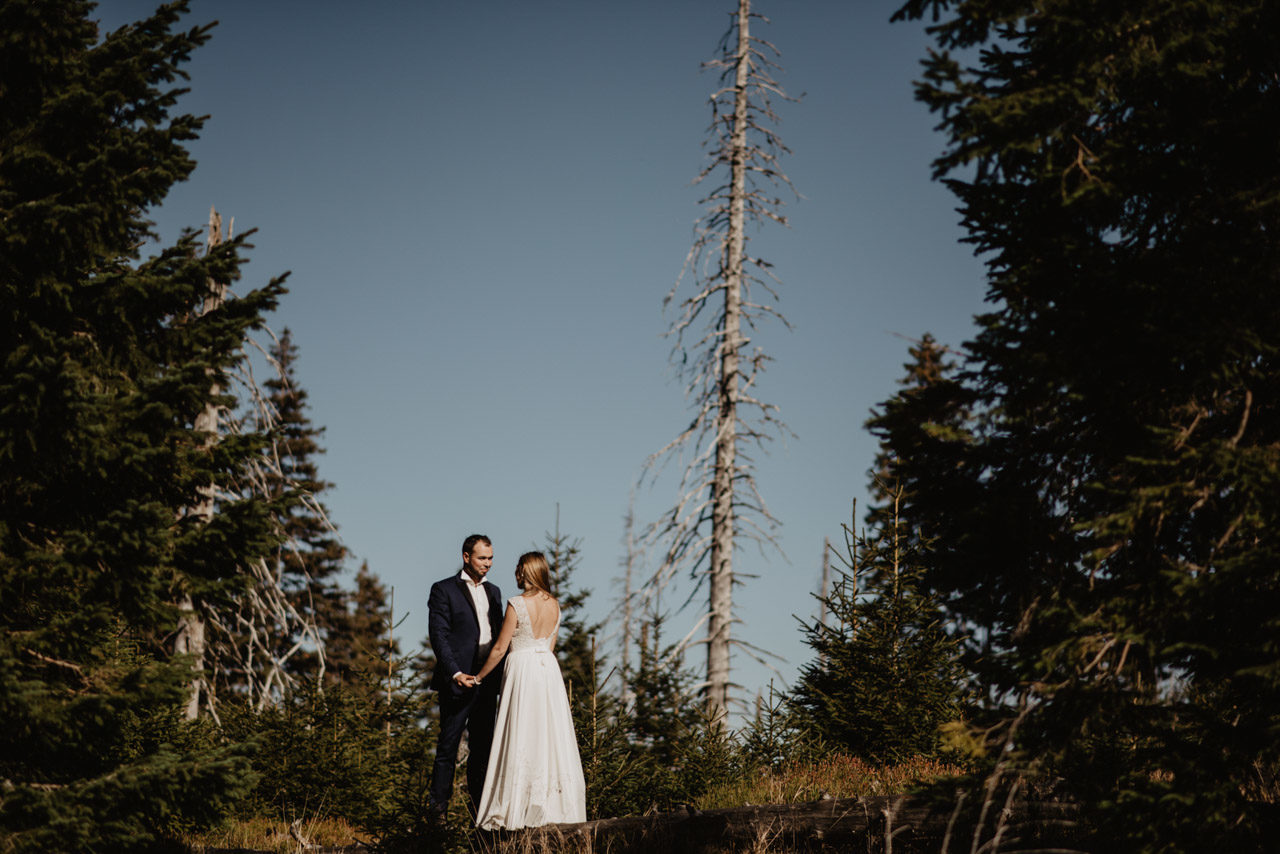 sesja slubna w karkonoszach