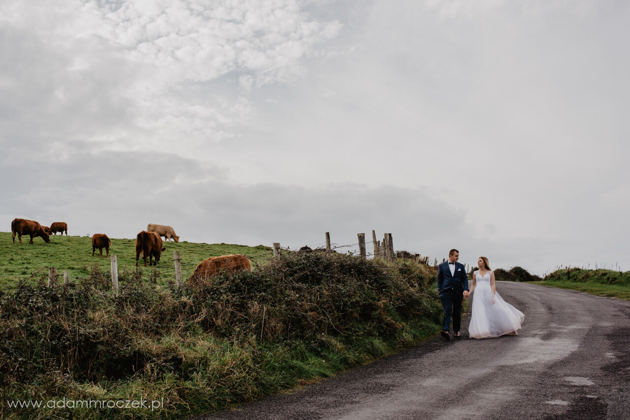 fotografia slubna wroclaw