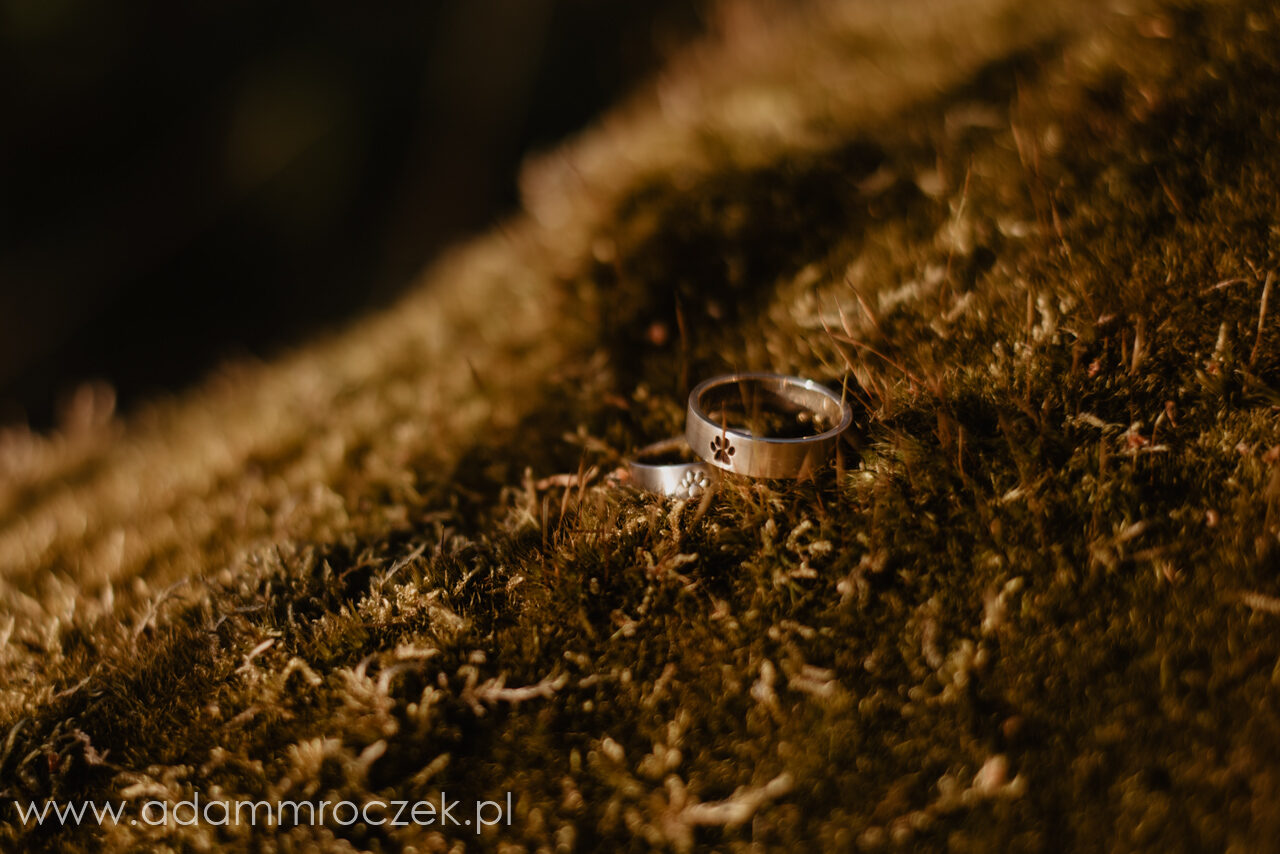 fotograf, wrocław, ślub