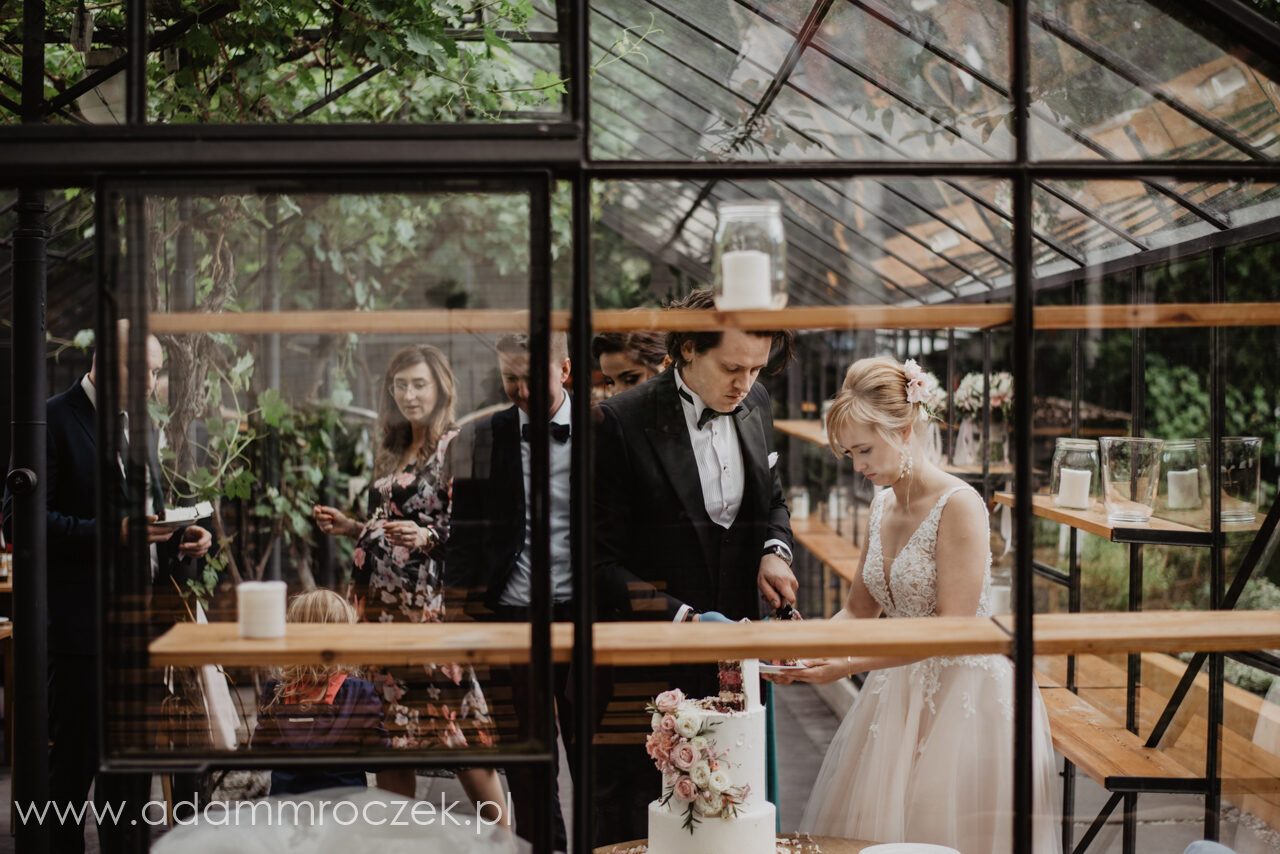 fotograf, slub, Wrocław