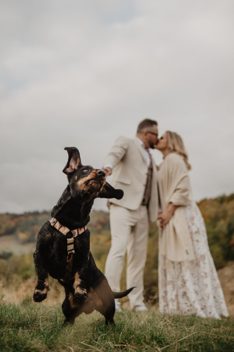 naturalna sesja ślubna w górach Dolny Śląsk